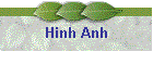 Hinh Anh